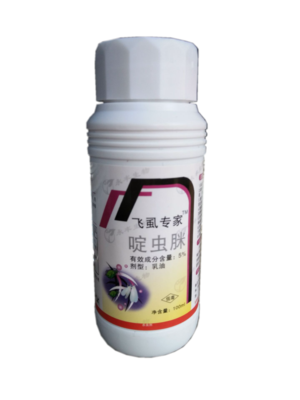 飞虱专家